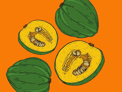 personal illustrations: acorn squash