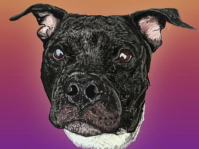 gordo adopt dont shop adopt me creative inspiration daily illustration design designing dog illustration graphic design hand art illustration pet digital art pet portrait pitbull art pitbull portrait pittie rescue dog