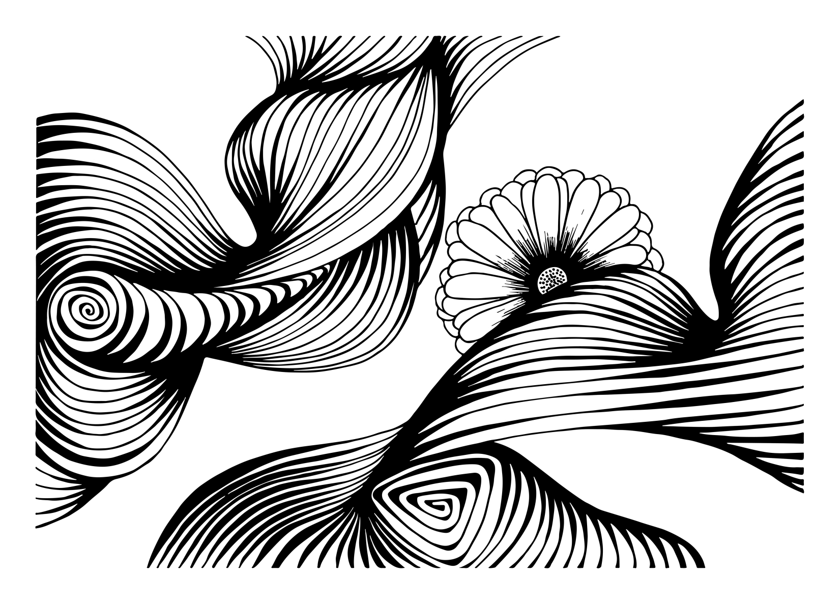 Abstract lines by Mari Bryk on Dribbble