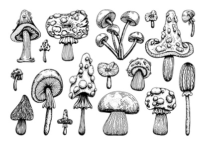 Sketch set of poisonous mushrooms design element