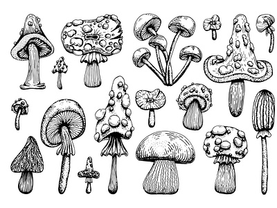 Sketch set of poisonous mushrooms