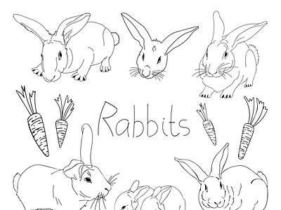 Set of rabbits