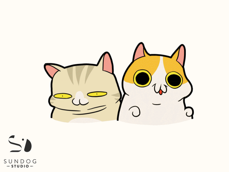 2 cats cats cute fun sticker wico