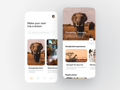 Travel App by Lorenzo Perniciaro for RonDesignLab on Dribbble