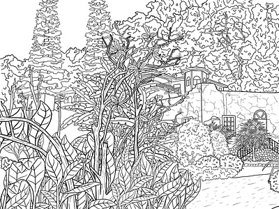 Landscape | coloring book.