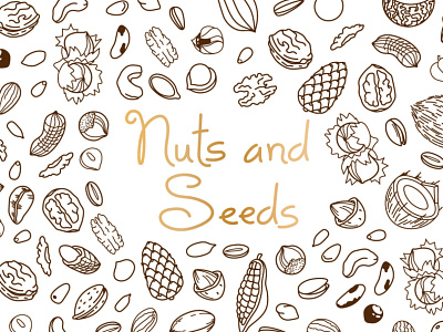 Nuts and Seeds design doodle graphic design hazelnut illustration line art logo pine seamless pattern seed seeds vector