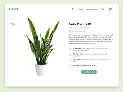 Plant Store Site clean concept design green online shop plant plants shop simple sketch ui ux web website