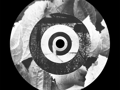 Fibonacci Sequence Circle Collage No. 7 analog circles collage design fibonacci greyscale halftone illustration series