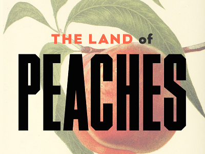 Creative South, or: The Land of Peaches! creative south creativesouth fruit peaches sans serif typography