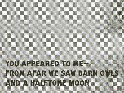 Set Syllables No. 47—Barn Owls, Moon black and white haiku halftone poem set syllables texture type typography