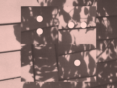 Midday Flora Shadow artful pretentions circles collage geometry halftone illustration squares typography