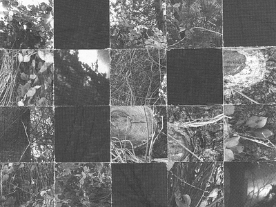 Menagerie of Squares flora grain halftone shapes squares texture wood