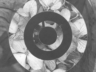 A Circle of Hydrangea analog collage design halftone illustration paper