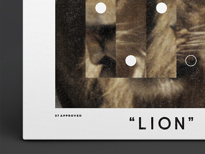 LION beast collage design lion music record texture typography