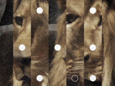 Lion, closeup. album animal circles collage halftone lion record roar texture