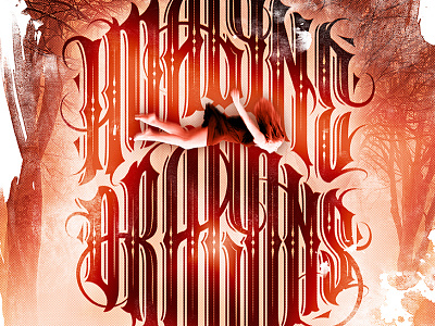 Imagine Dragons dragons gig poster lettering typography