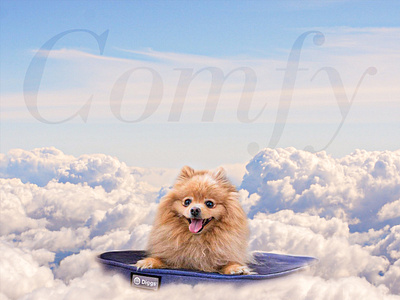 Diggsy advertisement art clouds comfort comfy cushion design diggs dog graphic design puppy riyadh saudi arabia sky visual visuals