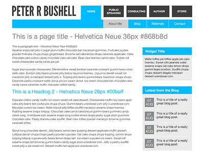 Peter Bushell Secondary Page black blue charcoal clean simple website