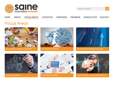 SAINe - Focus Areas black blog grey innovation network orange websites