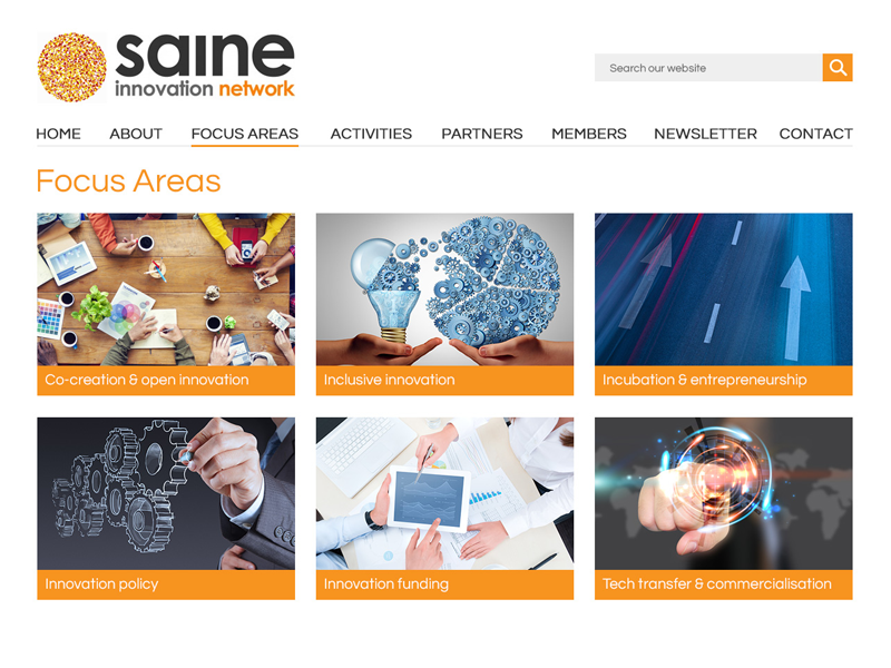 Saine focus areas page