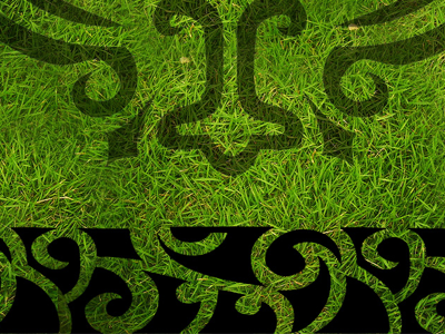 Rugby World Cup 2011 Wallpaper - Maori Patterns grass green maori new zealand rugby rugby world cup sport wallpaper