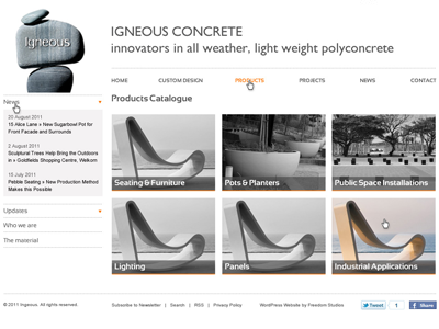 Igneous Products Page clean grey minimal orange website white