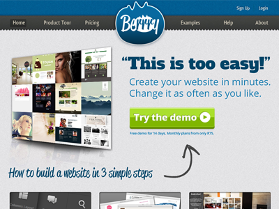 Berrry Website Homepage Top berry blue clean grey website