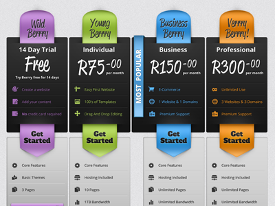 Berrry Pricing Table arrow berry blue button clean green grey icons orange pricing purple table texture website