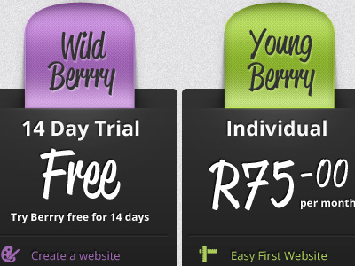 Berrry Pricing Table Detail arrow berry blue button clean green grey icons orange pricing purple table texture website