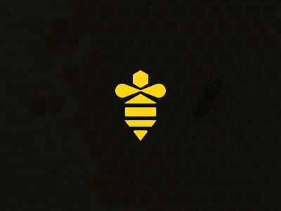 Honey Bee branding design graphic design honey bee honey bee logo honey logo illustration logo logo design
