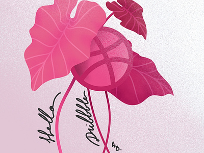 Hello Dribbble ! debut design design art hello illustration leaf nature