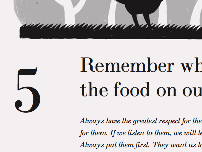 The 8 principles of The 25 Mile didot responsive typography