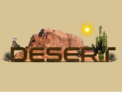 Desert branding cover design graphic design illustration logo typography