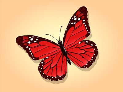 Beautiful Butterfly beautiful illustration buttterfly cute butterfly design illustration insect inspiration nature red butterfly vector