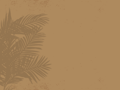 Leaves Shadow on the Vintage Background adobe illustrator background branches contemporary design idea inspiration leaf leaves mockup modern new palm plant retro shadow style tropical vector vintage