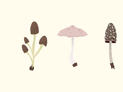 Mushrooms adobe illustrator animation art beautiful champignon forest graphic design illustration inspiration mushroom nature realisitic vector