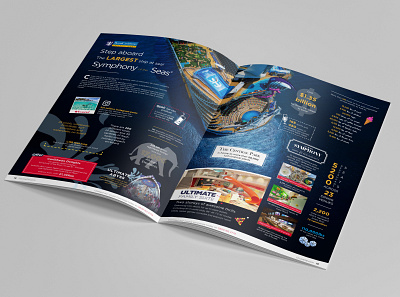 Infographic design adobe branding brochure design graphic design illustration indesign layout logo magazine print print design vector