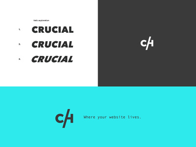 Crucial Hosting