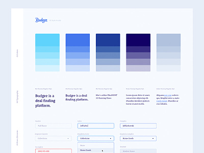 Budgee UI Style Guide color form form field style guide typography ui