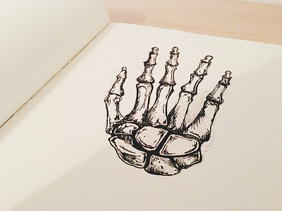Recent Sketch bones micron sketch sketchbook