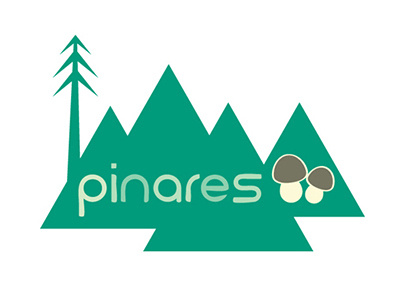 Logo Pinares design illustration logo mountain mushroom pine pinewood region