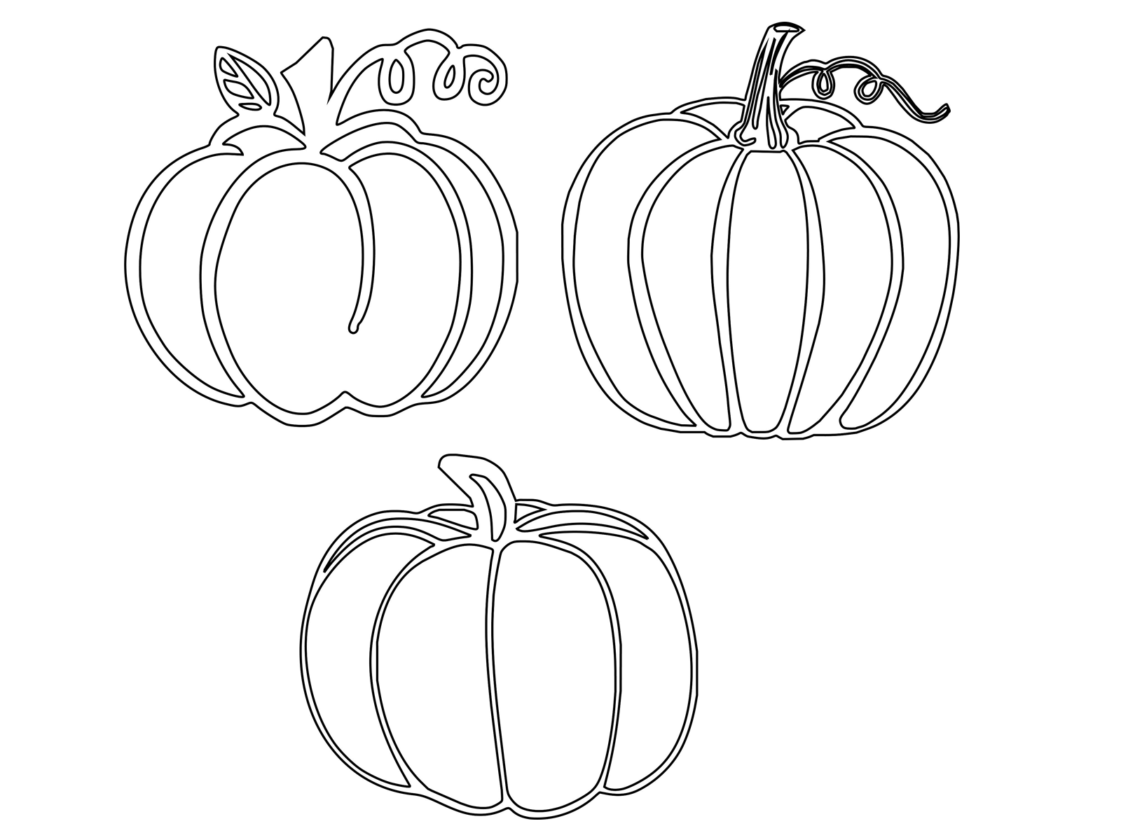 cricut pumpkin by Trang Nguyen Thi 1920058 on Dribbble