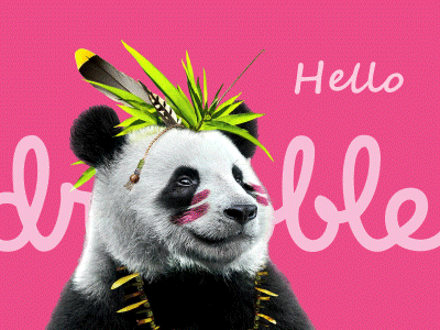 Bambuk Studio debut animation debut design gif hello illustration panda style