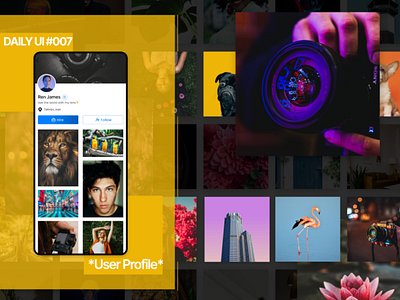User Profile for a photography app best branding colorful dailyui design profile ui ux