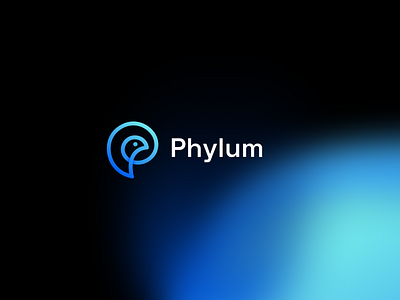 Phylum