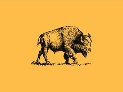 Buffalo buffalo inspiration logo mark sava stoic symbol