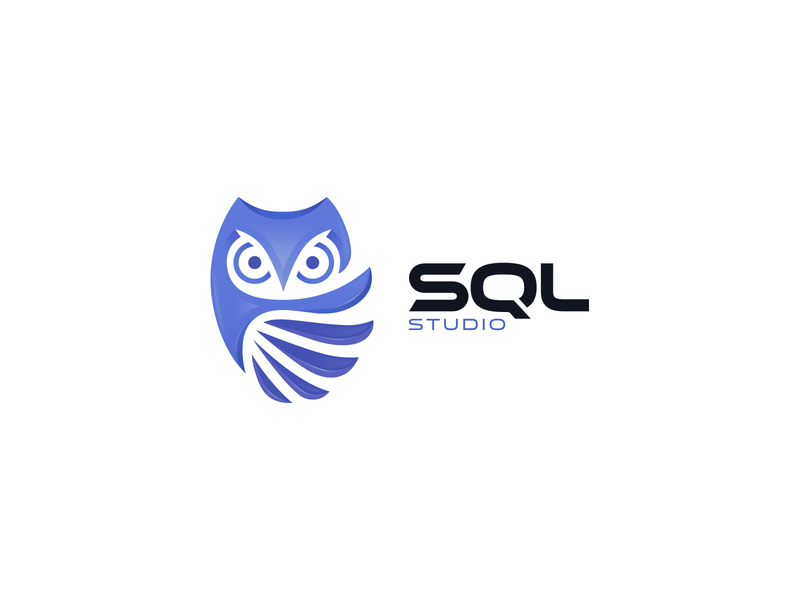 SQL Studio animal bird branding data analytics data collection database identity logo mark owl sql sqldata symbol