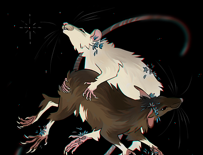 rats illustration rat