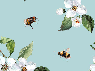 Spring flowering jasmine flowers, flying bee and bumblebee.