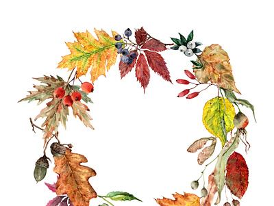 Autumn wreath of leaves maple, oak, linden, rowan. acorn autumn illustration invitation leaves linden oak postcard watercolor wreath